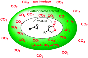 Graphical abstract: Reactivity of carbon dioxide in hydrofluoroethers: a facile access to cyclic carbonates