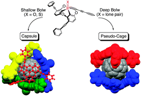 Graphical abstract: Tuning the depth of bowl-shaped phosphine hosts: capsule and pseudo-cage architectures in host–guest complexes with C60 fullerene