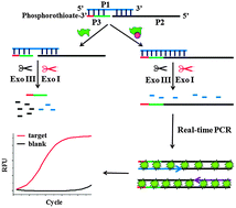 Graphical abstract: Real-time monitoring of small biological molecules by ligation-mediated polymerase chain reaction