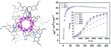 Graphical abstract: A cyclic dodecanuclear cobalt cluster based on a derivative of the rhodamine 6G dye with unusual magnetization