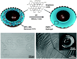 Graphical abstract: One-pot microfluidic fabrication of graphene oxide-patched hollow hydrogel microcapsules with remarkable shell impermeability