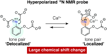 Graphical abstract: Design of a hyperpolarized 15N NMR probe that induces a large chemical-shift change upon binding of calcium ions