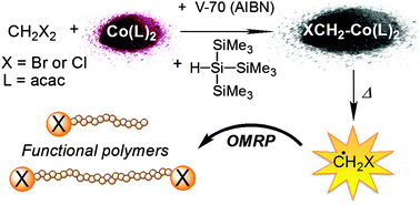 Graphical abstract: Halomethyl-cobalt(bis-acetylacetonate) for the controlled synthesis of functional polymers