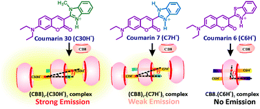 Graphical abstract: Cucurbit[8]uril-templated H and J dimers of bichromophoric coumarin dyes: origin of contrasting emission