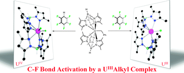 Graphical abstract: Synthesis of low-valent uranium fluorides by C–F bond activation