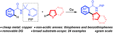 Graphical abstract: Copper-catalyzed oxidative C–H/C–H cross-coupling of benzamides and thiophenes