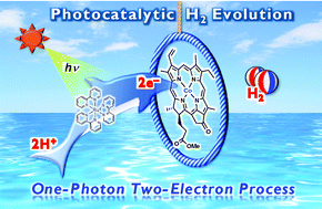 Graphical abstract: Mechanism of a one-photon two-electron process in photocatalytic hydrogen evolution from ascorbic acid with a cobalt chlorin complex