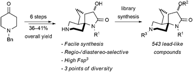 Graphical abstract: Facile access to a heterocyclic, sp3-rich chemical scaffold via a tandem condensation/intramolecular nitrone–alkene [3+2] cycloaddition strategy