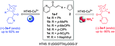 Graphical abstract: Higher-order human telomeric G-quadruplex DNA metalloenzyme catalyzed Diels–Alder reaction: an unexpected inversion of enantioselectivity modulated by K+ and NH4+ ions