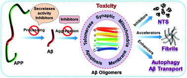 Graphical abstract: Function and toxicity of amyloid beta and recent therapeutic interventions targeting amyloid beta in Alzheimer's disease