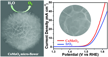 Graphical abstract: Ultrathin nanosheets constructed CoMoO4 porous flowers with high activity for electrocatalytic oxygen evolution