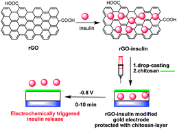 Graphical abstract: Electrochemically triggered release of human insulin from an insulin-impregnated reduced graphene oxide modified electrode