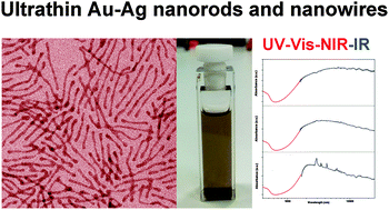Graphical abstract: The spontaneous formation and plasmonic properties of ultrathin gold–silver nanorods and nanowires stabilized in oleic acid