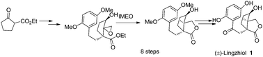 Graphical abstract: Concise synthesis of (±)-Lingzhiol via epoxy-arene cyclization