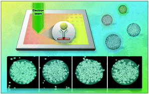 Graphical abstract: Visualizing virus particle mobility in liquid at the nanoscale