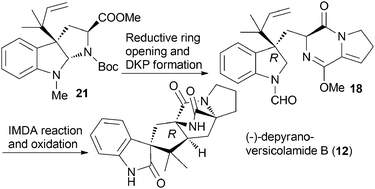 Graphical abstract: Total synthesis of (−)-depyranoversicolamide B