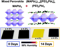 Graphical abstract: Mixed perovskite based on methyl-ammonium and polymeric-ammonium for stable and reproducible solar cells