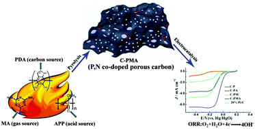 Graphical abstract: Intumescent flame retardant-derived P,N co-doped porous carbon as an efficient electrocatalyst for the oxygen reduction reaction