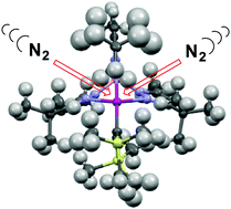 Graphical abstract: Mechanism-based design of labile precursors for chromium(i) chemistry