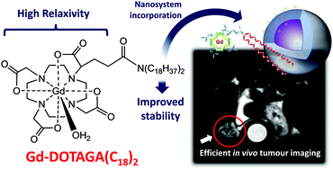 Graphical abstract: GdDOTAGA(C18)2: an efficient amphiphilic Gd(iii) chelate for the preparation of self-assembled high relaxivity MRI nanoprobes