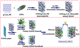Graphical abstract: A ternary hybrid of carbon nanotubes/graphitic carbon nitride nanosheets/gold nanoparticles used as robust substrate electrodes in enzyme biofuel cells
