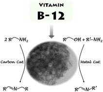 Graphical abstract: Mesoporous carbon derived from vitamin B12: a high-performance bifunctional catalyst for imine formation