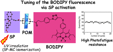 Graphical abstract: A high fatigue resistant, photoswitchable fluorescent spiropyran–polyoxometalate–BODIPY single-molecule