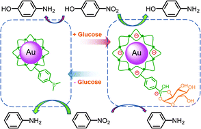 Graphical abstract: Glucose-mediated catalysis of Au nanoparticles in microgels