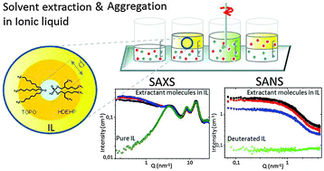 Graphical abstract: Ionic liquids as diluents in solvent extraction: first evidence of supramolecular aggregation of a couple of extractant molecules