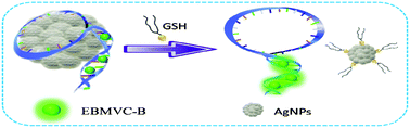 Graphical abstract: A novel AgNP/DNA/TPdye conjugate-based two-photon nanoprobe for GSH imaging in cell apoptosis of cancer tissue