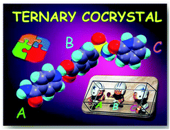 Graphical abstract: Multicomponent ternary cocrystals of the sulfonamide group with pyridine-amides and lactams