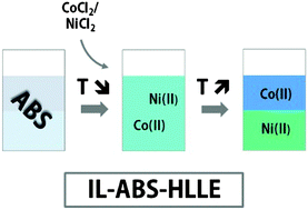 Graphical abstract: Separation of cobalt and nickel using a thermomorphic ionic-liquid-based aqueous biphasic system