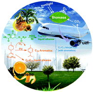 Graphical abstract: A new approach for bio-jet fuel generation from palm oil and limonene in the absence of hydrogen