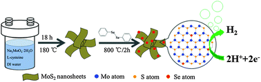 Graphical abstract: A Se-doped MoS2 nanosheet for improved hydrogen evolution reaction