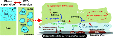 Graphical abstract: A simple and controllable graphene-templated approach to synthesise 2D silica-based nanomaterials using water-in-oil microemulsions