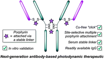 Graphical abstract: Site-selective multi-porphyrin attachment enables the formation of a next-generation antibody-based photodynamic therapeutic