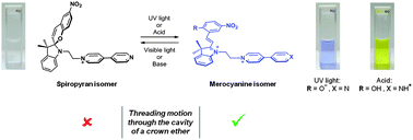 Graphical abstract: Coupled molecular motions driven by light or chemical inputs: spiropyran to merocyanine isomerisation followed by pseudorotaxane formation