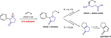 Graphical abstract: Enantioselective sp3 C–H alkylation of γ-butyrolactam by a chiral Ir(i) catalyst for the synthesis of 4-substituted γ-amino acids