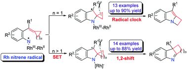Graphical abstract: Substrate-controlled Rh(ii)-catalyzed single-electron-transfer (SET): divergent synthesis of fused indoles