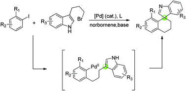 Graphical abstract: Palladium-catalyzed dearomative cyclization by a norbornene-mediated sequence: a route to spiroindolenine derivatives