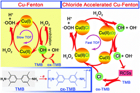 Graphical abstract: Chloride accelerated Fenton chemistry for the ultrasensitive and selective colorimetric detection of copper