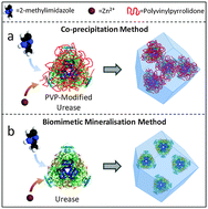 Graphical abstract: Enzyme encapsulation in zeolitic imidazolate frameworks: a comparison between controlled co-precipitation and biomimetic mineralisation