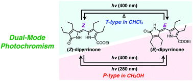 Graphical abstract: Solvent-dependent dual-mode photochromism between T- and P-types in a dipyrrinone derivative