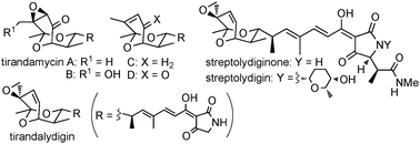 Graphical abstract: Unified synthesis of tirandamycins and streptolydigins