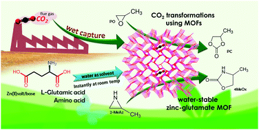 Graphical abstract: A sustainable protocol for the facile synthesis of zinc-glutamate MOF: an efficient catalyst for room temperature CO2 fixation reactions under wet conditions