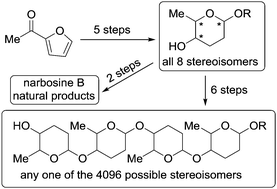 Graphical abstract: Divergent de novo synthesis of all eight stereoisomers of 2,3,6-trideoxyhexopyranosides and their oligomers