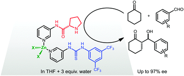 Graphical abstract: Dynamic assembly of a zinc-templated bifunctional organocatalyst in the presence of water for the asymmetric aldol reaction