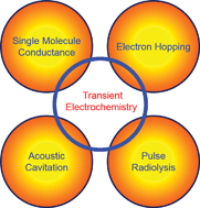 Graphical abstract: Transient electrochemistry: beyond simply temporal resolution