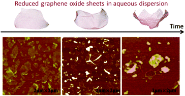 Graphical abstract: Dynamic configuration of reduced graphene oxide in aqueous dispersion and its effect on thin film properties
