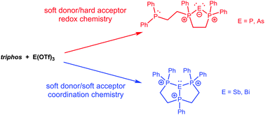 Graphical abstract: Distinction between coordination and phosphine ligand oxidation: interactions of di- and triphosphines with Pn3+ (Pn = P, As, Sb, Bi)